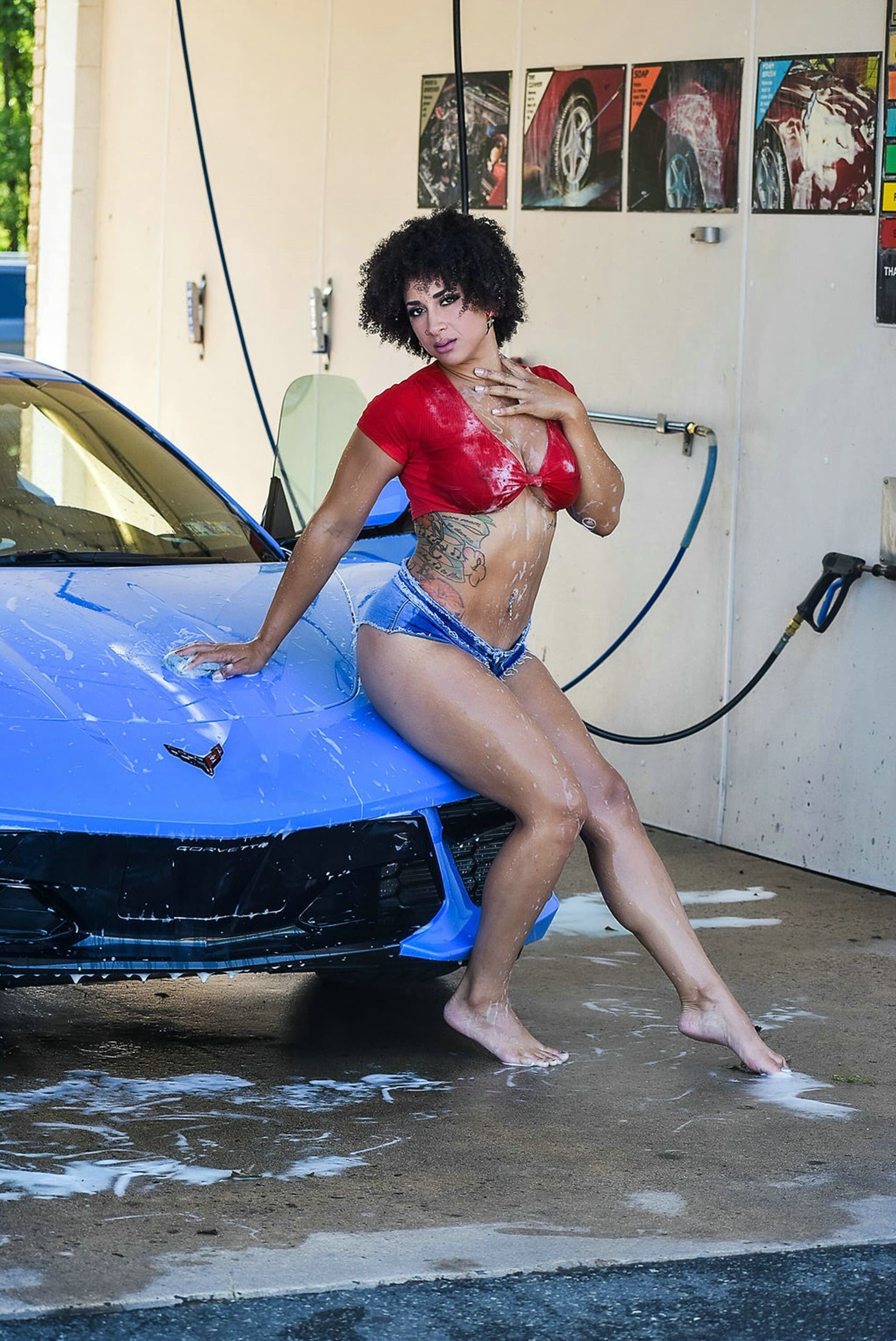 Ophelia Gin Blue Ballz Carwash